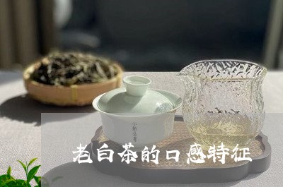 老白茶的口感特征/2023071157292