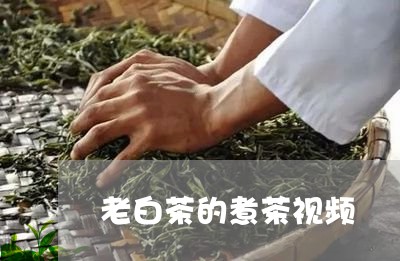 老白茶的煮茶视频/2023071161737