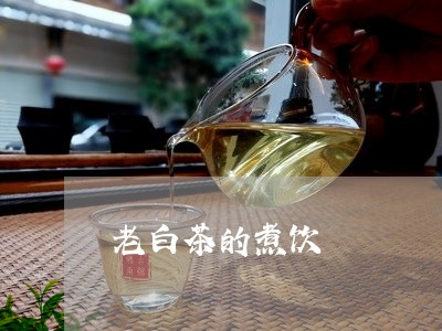 老白茶的煮饮/2023052423837