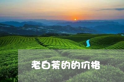 老白茶的的价格/2023061098461