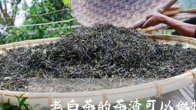 老白茶的茶渣可以做枕头吗/2023042836147