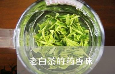 老白茶的药香味/2023061061614