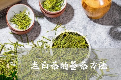 老白茶的鉴茶方法/2023071165059