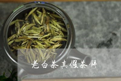 老白茶真假茶饼/2023061070605