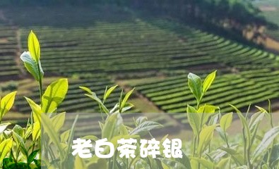 老白茶碎银/2023051141483