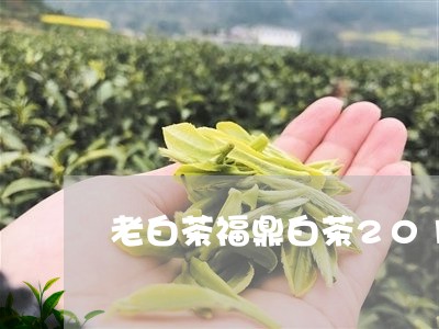 老白茶福鼎白茶2018/2023111684937