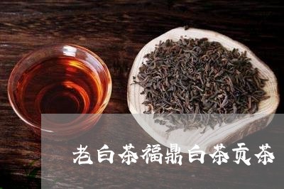 老白茶福鼎白茶贡茶/2023111678302