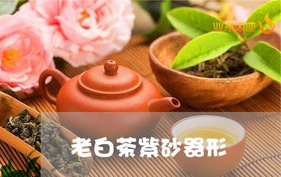 老白茶紫砂器形/2023060921591