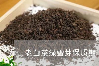 老白茶绿雪芽保质期/2023082665149