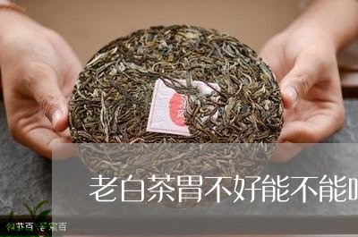 老白茶胃不好能不能吃红茶/2023042895160