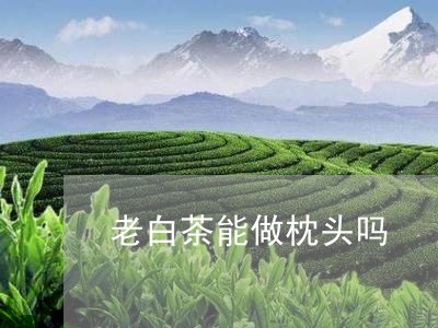 老白茶能做枕头吗/2023071183736