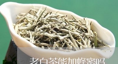 老白茶能加蜂蜜吗/2023071185957