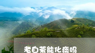 老白茶能化痰吗/2023060948571