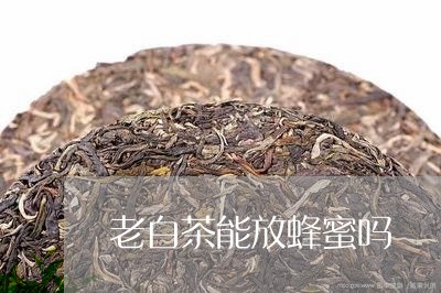 老白茶能放蜂蜜吗/2023071161694