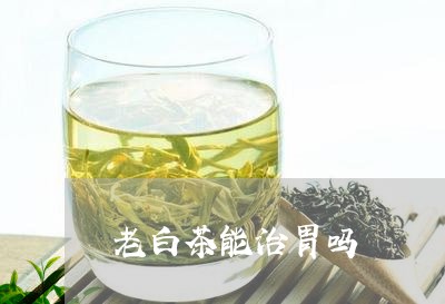 老白茶能治胃吗/2023060999604