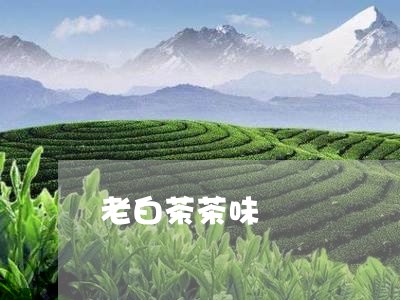 老白茶茶味/2023051142704