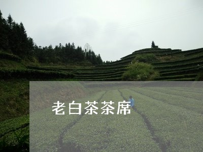 老白茶茶席/2023051103940