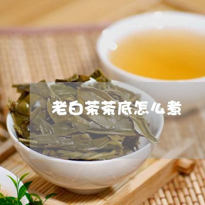 老白茶茶底怎么煮/2023071127364