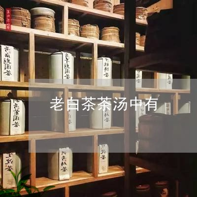 老白茶茶汤中有/2023061091403