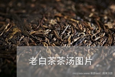 老白茶茶汤图片/2023061046380