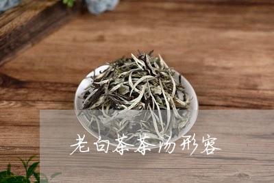 老白茶茶汤形容/2023061095925