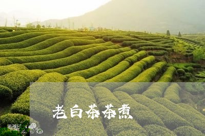 老白茶茶煮/2023051160402