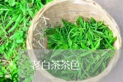 老白茶茶色/2023051140615