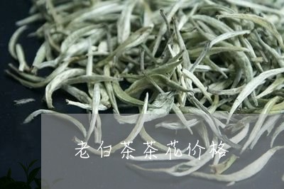 老白茶茶花价格/2023060915269