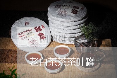 老白茶茶茶叶罐/2023060972793