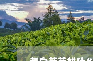 老白茶茶饼什么颜色好喝/2023111791046