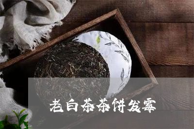 老白茶茶饼发霉/2023060993936