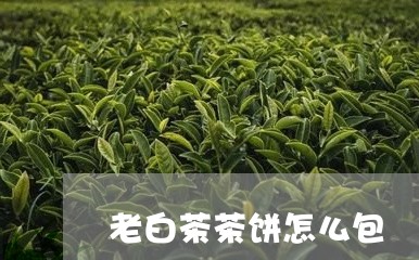 老白茶茶饼怎么包/2023073120703