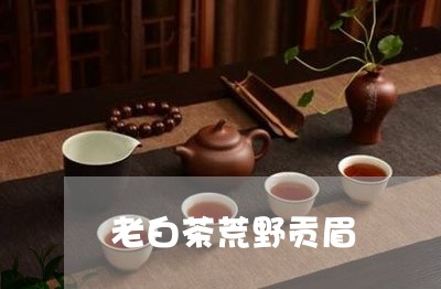 老白茶荒野贡眉/2023061012149