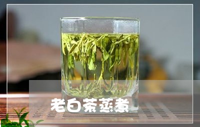 老白茶蒸煮/2023051185552