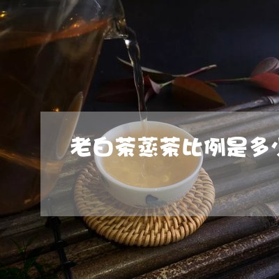 老白茶蒸茶比例是多少啊/2023082644940