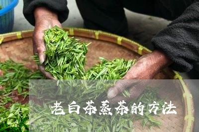 老白茶蒸茶的方法/2023071153726