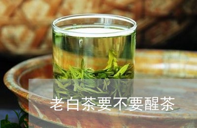 老白茶要不要醒茶/2023071171684