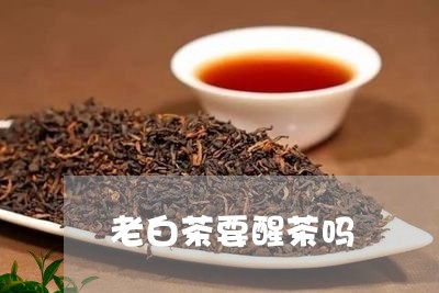 老白茶要醒茶吗/2023061041597