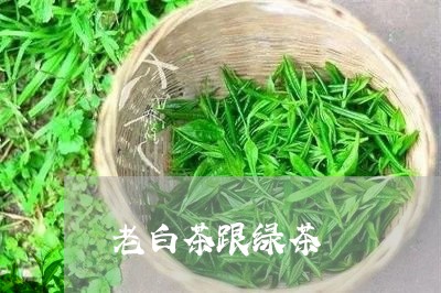 老白茶跟绿茶/2023052300915