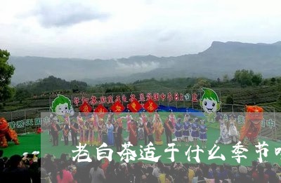 老白茶适于什么季节喝最好/2023042819460