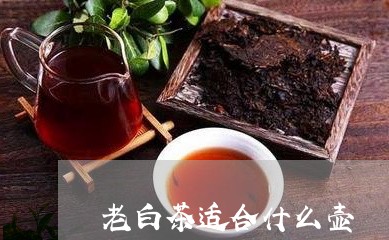 老白茶适合什么壶/2023071161826