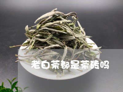 老白茶都是茶砖吗/2023071171584