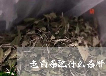 老白茶配什么茶肝健脾胃/2023042845157