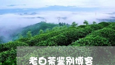 老白茶鉴别博客/2023060906370