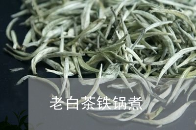 老白茶铁锅煮/2023073129604