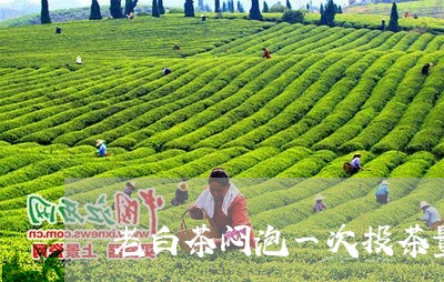 老白茶闷泡一次投茶量/2023111744627