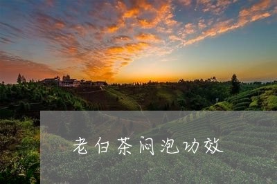 老白茶闷泡功效/2023060965060