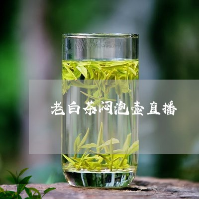 老白茶闷泡壶直播/2023073055839