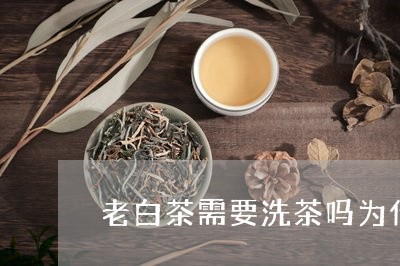 老白茶需要洗茶吗为什么/2023082601503