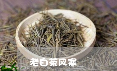 老白茶风寒/2023051130485